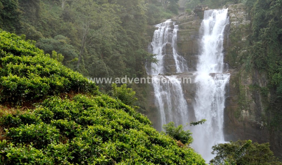Top 34 North Carolina Waterfalls You Need to Visit Now!