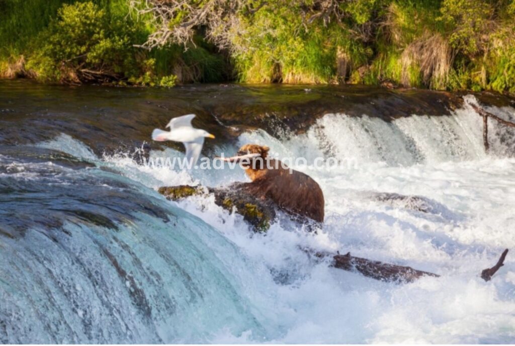 Top 34 North Carolina Waterfalls You Need to Visit Now!